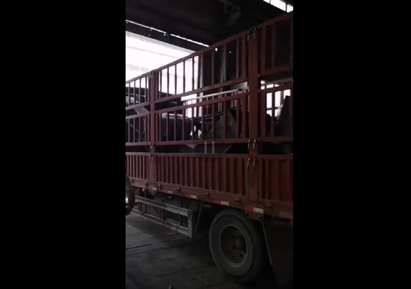 廢鋼破碎機設備1200型發(fā)貨視頻